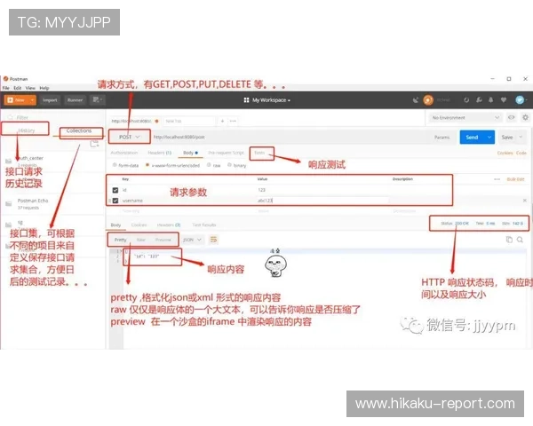 精通开云地址登录入口,提升工作效率的实用技巧