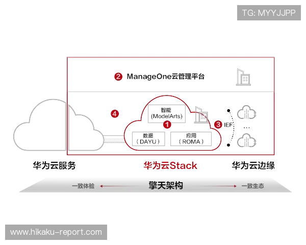 开云集团上海分公司为本地客户提供的定制化服务与合作机会全面解读