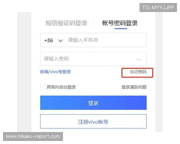 开云官方官网登录入口安全登录指南，保障账号信息安全，防止账号被盗与信息泄露